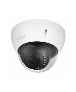 Camera giám sát IP DAHUA DS2431RDIP-S2